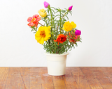 Vibrant Flower Mix (9-pack)