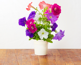 Vibrant Flower Mix (9-pack)