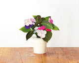 Vibrant Flower Mix (9-pack)