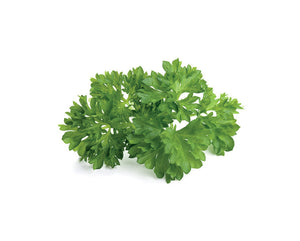 Parsley Refill