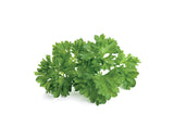 Parsley Refill